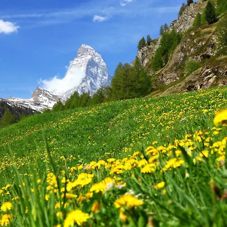 Richemont-2 Zermatt
